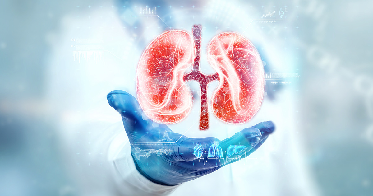 image-1716788528326-837446693-Urology